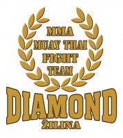 DIAMOND GYM