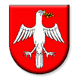 TJ Družstevník Čičarovce