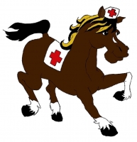 Dr. Kôň- hipoterapia