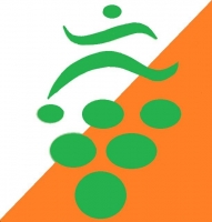 Klub orientačného behu Sokol Pezinok